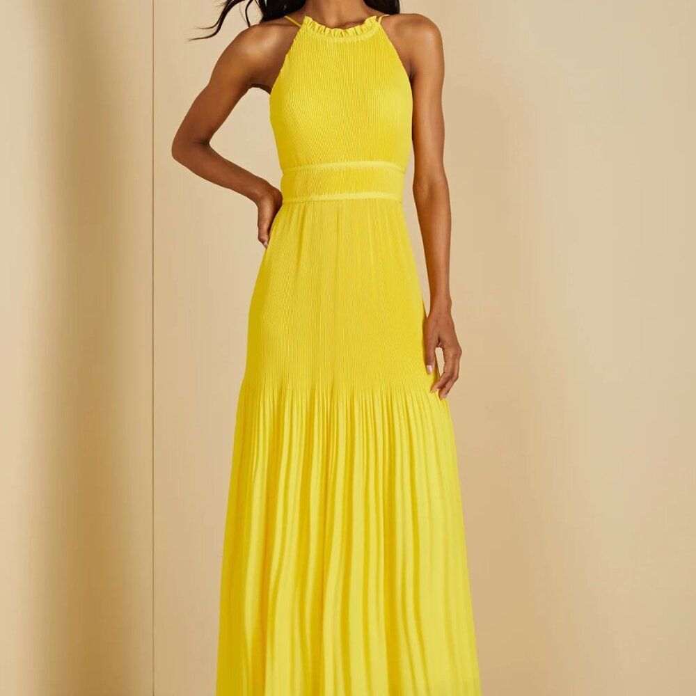 AMUR Garren Midi Dress 4